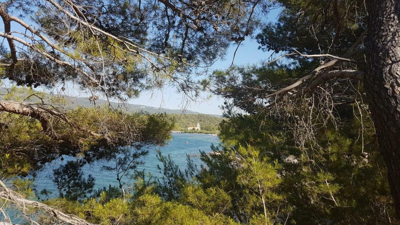 Apartman Karin Donji Karin Kültér fotó